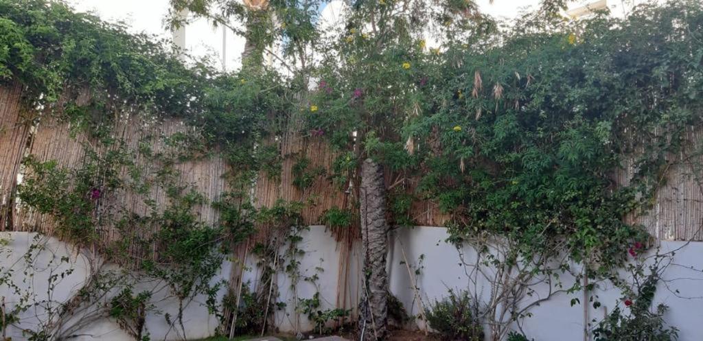 Villa Avec Piscine Triffa Exterior foto